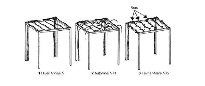 Création d'une pergola